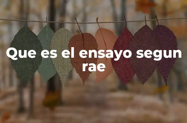 Que es el Ensayo Segun Rae