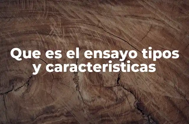 La importancia del ensayo en la formación académica y profesional