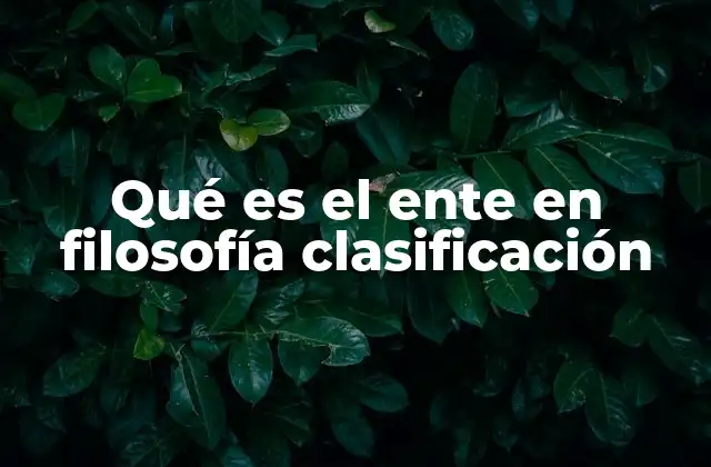 Qué es el Ente en Filosofía Clasificación