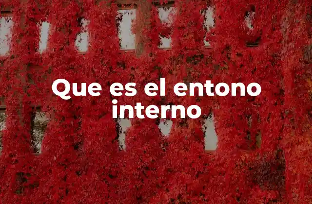 Que es el Entono Interno