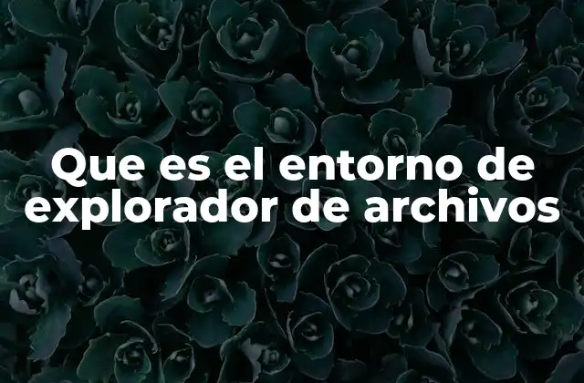 Que es el Entorno de Explorador de Archivos