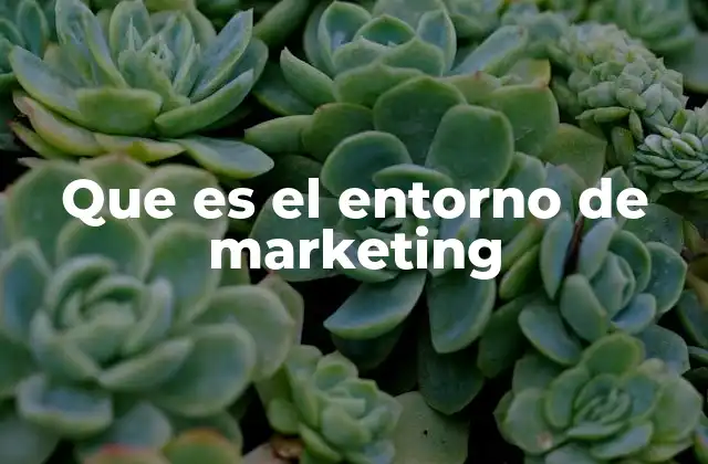 Que es el Entorno de Marketing