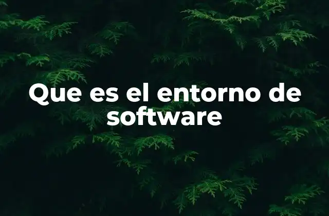Que es el Entorno de Software