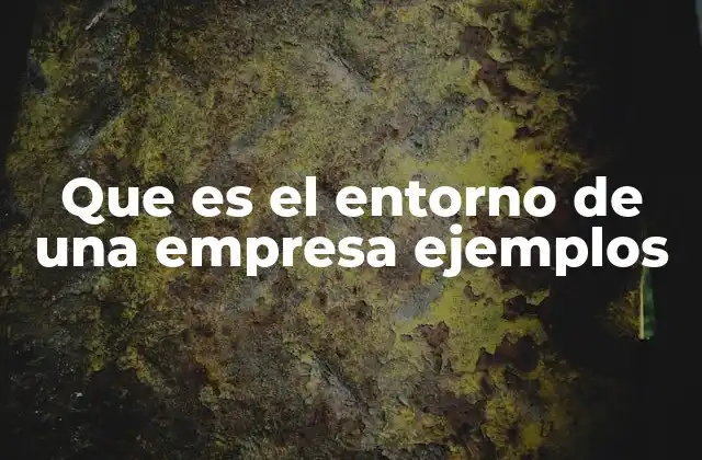 Que es el Entorno de una Empresa Ejemplos