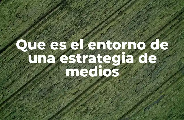 Que es el Entorno de una Estrategia de Medios