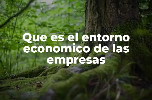 Que es el Entorno Economico de las Empresas