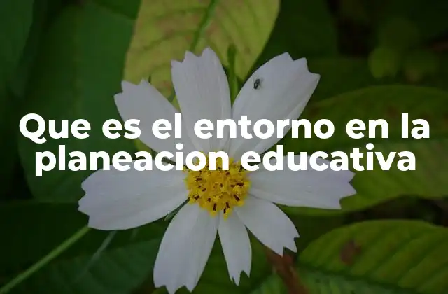 Que es el Entorno en la Planeacion Educativa