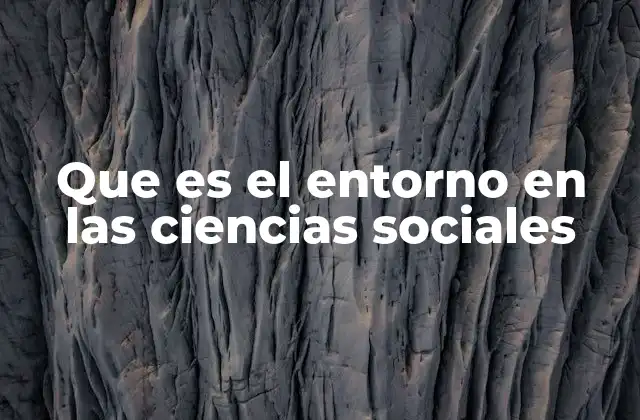 Que es el Entorno en las Ciencias Sociales