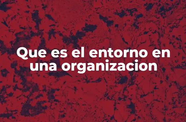 Que es el Entorno en una Organizacion