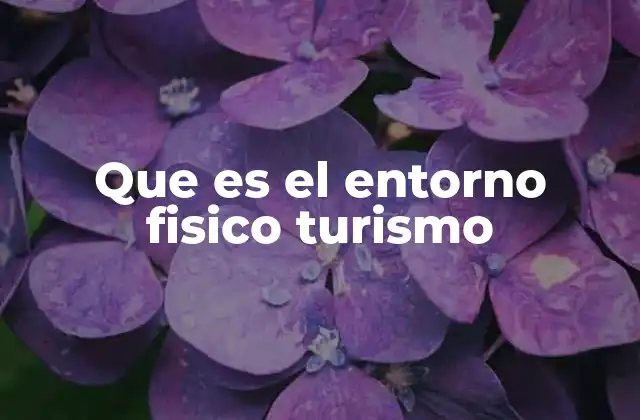Que es el Entorno Fisico Turismo
