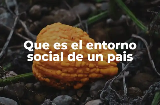 Que es el Entorno Social de un Pais