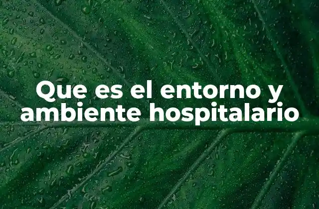 Que es el Entorno y Ambiente Hospitalario