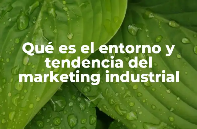 Qué es el Entorno y Tendencia Del Marketing Industrial