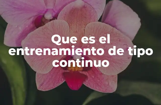 Que es el Entrenamiento de Tipo Continuo