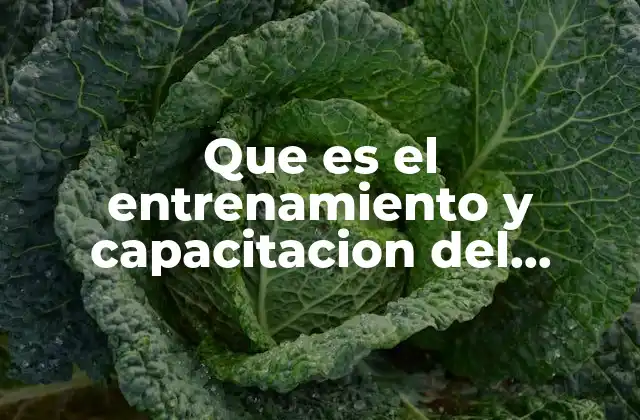 Cómo las organizaciones modernas se benefician del desarrollo del talento