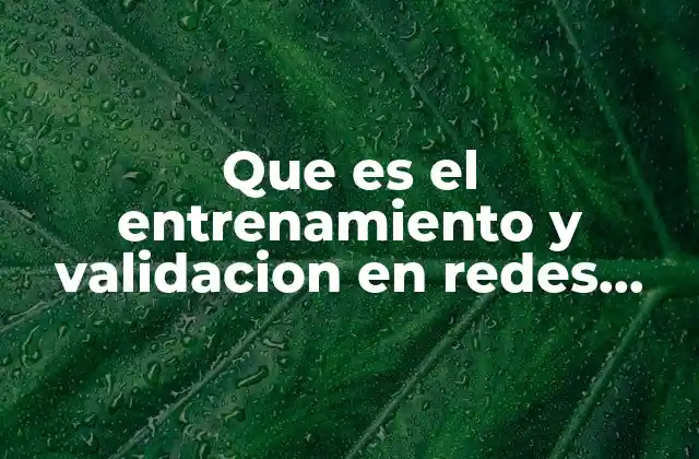 Que es el Entrenamiento y Validacion en Redes Neuronales