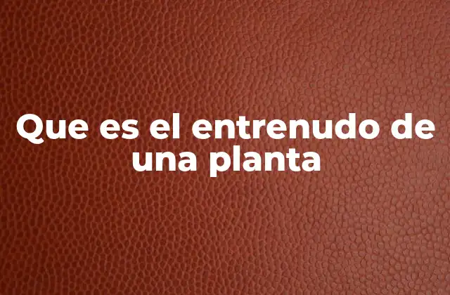 Que es el Entrenudo de una Planta