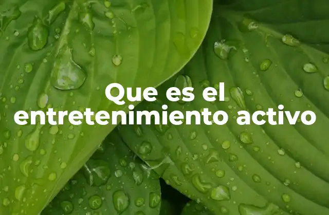 Que es el Entretenimiento Activo