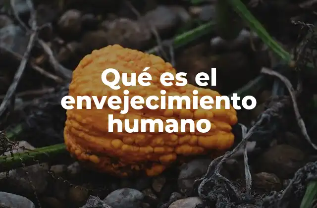 Qué es el Envejecimiento Humano