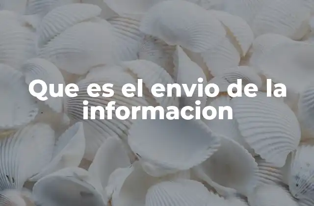 Que es el Envio de la Informacion