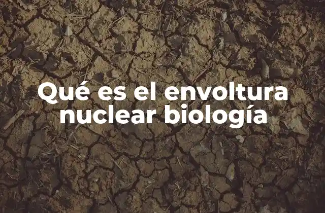 Qué es el Envoltura Nuclear Biología