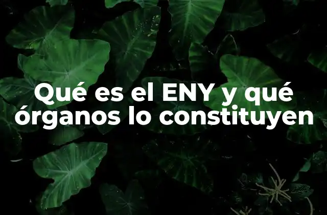 Qué es el Eny y Qué Órganos Lo Constituyen 2 La importancia del ENY en el sistema institucional mexicano