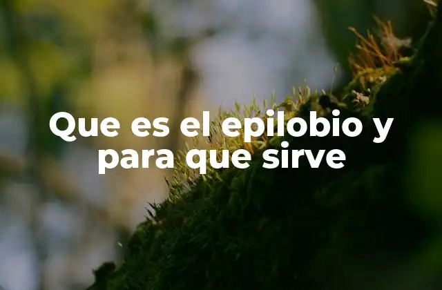 Que es el Epilobio y para que Sirve 2 La importancia del epilobio en la morfología floral