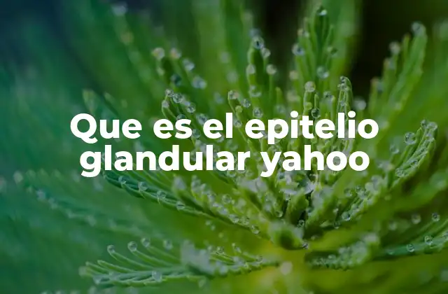 Que es el Epitelio Glandular Yahoo