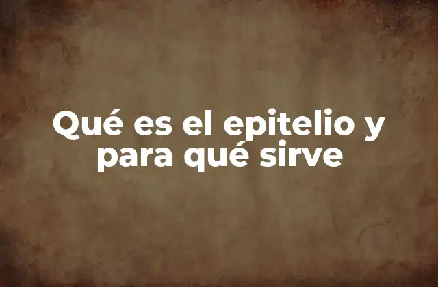 Qué es el Epitelio y para Qué Sirve