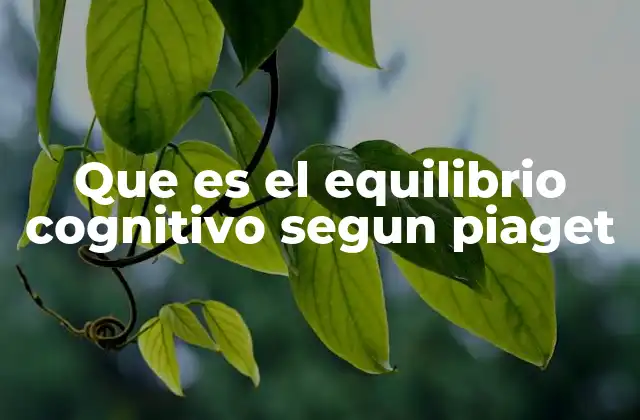 Que es el Equilibrio Cognitivo Segun Piaget
