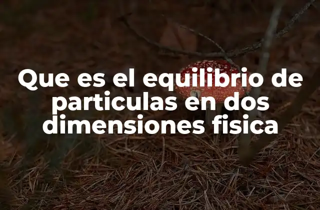 Que es el Equilibrio de Particulas en Dos Dimensiones Fisica