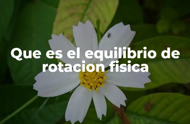 La importancia del equilibrio rotacional en la ingeniería