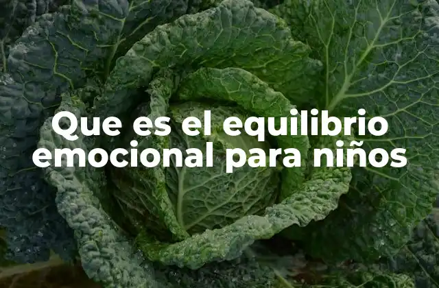 Que es el Equilibrio Emocional para Niños