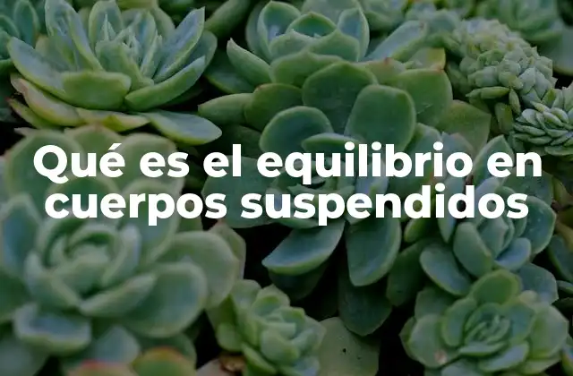 Qué es el Equilibrio en Cuerpos Suspendidos