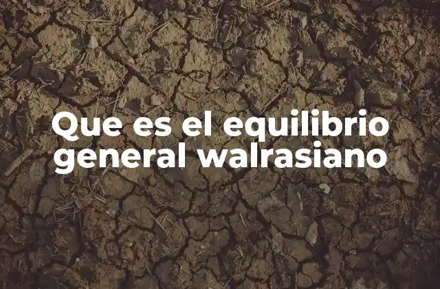 Que es el Equilibrio General Walrasiano