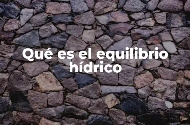 Qué es el Equilibrio Hídrico 2 El papel del agua en la regulación del organismo