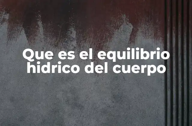 Que es el Equilibrio Hidrico Del Cuerpo