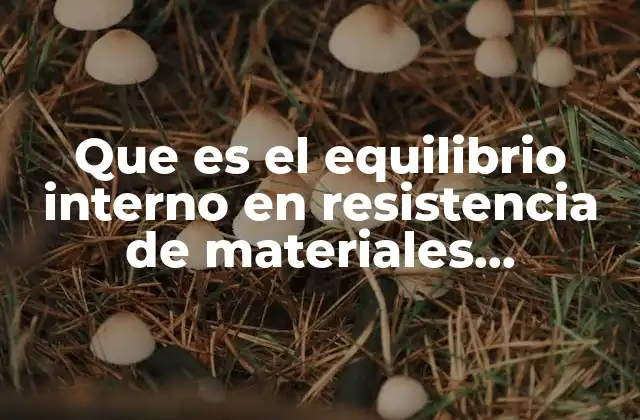 Que es el Equilibrio Interno en Resistencia de Materiales Definicion