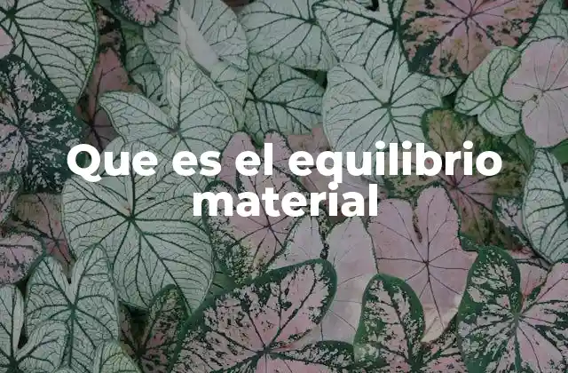 Que es el Equilibrio Material