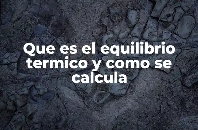 Que es el Equilibrio Termico y como Se Calcula