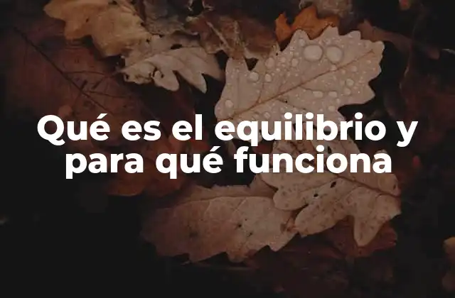 Qué es el Equilibrio y para Qué Funciona