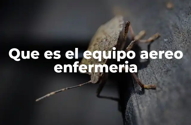 Que es el Equipo Aereo Enfermeria