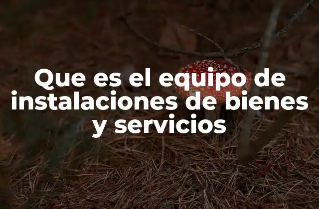 Que es el Equipo de Instalaciones de Bienes y Servicios