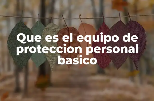 Que es el Equipo de Proteccion Personal Basico 2 La importancia de la protección en el entorno laboral