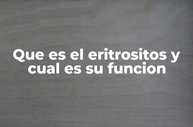 Que es el Eritrositos y Cual es Su Funcion