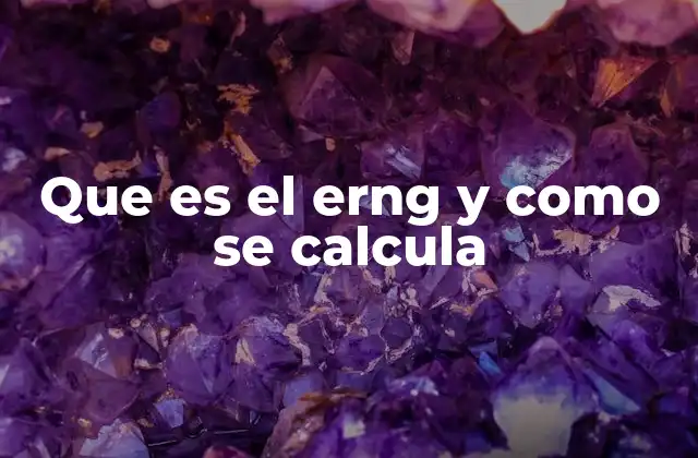 Que es el Erng y como Se Calcula