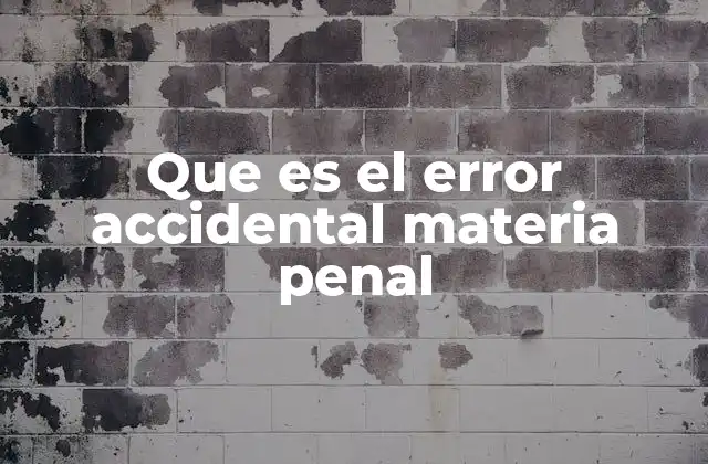 Que es el Error Accidental Materia Penal