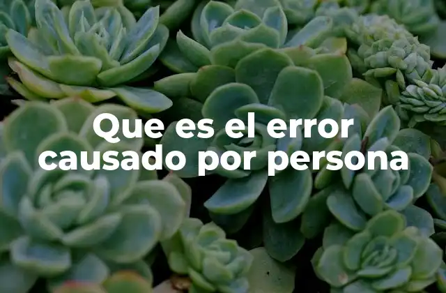 Que es el Error Causado por Persona