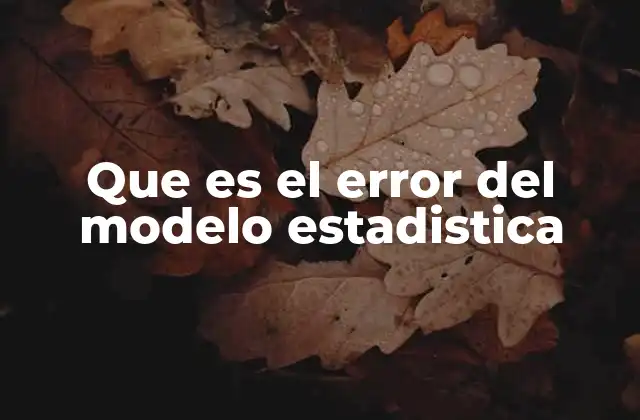 Que es el Error Del Modelo Estadistica