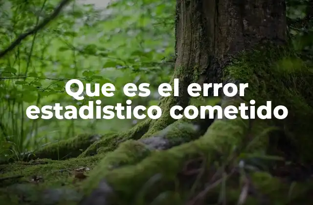 Que es el Error Estadistico Cometido